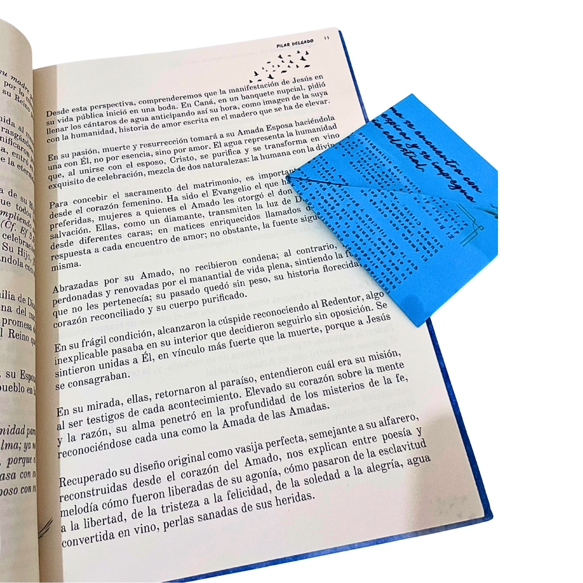 Libro Ven Amada Mía (Mujeres bíblicas) - Imagen 3